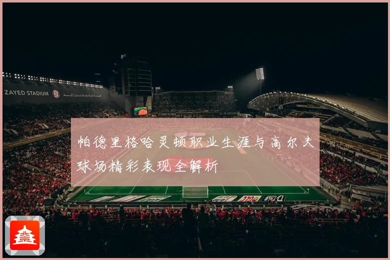 帕德里格哈灵顿职业生涯与高尔夫球场精彩表现全解析