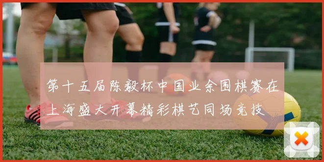 第十五届陈毅杯中国业余围棋赛在上海盛大开幕精彩棋艺同场竞技