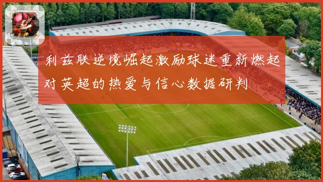 利兹联逆境崛起激励球迷重新燃起对英超的热爱与信心数据研判