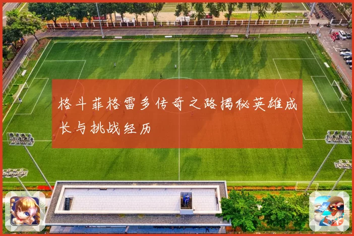 格斗菲格雷多传奇之路揭秘英雄成长与挑战经历