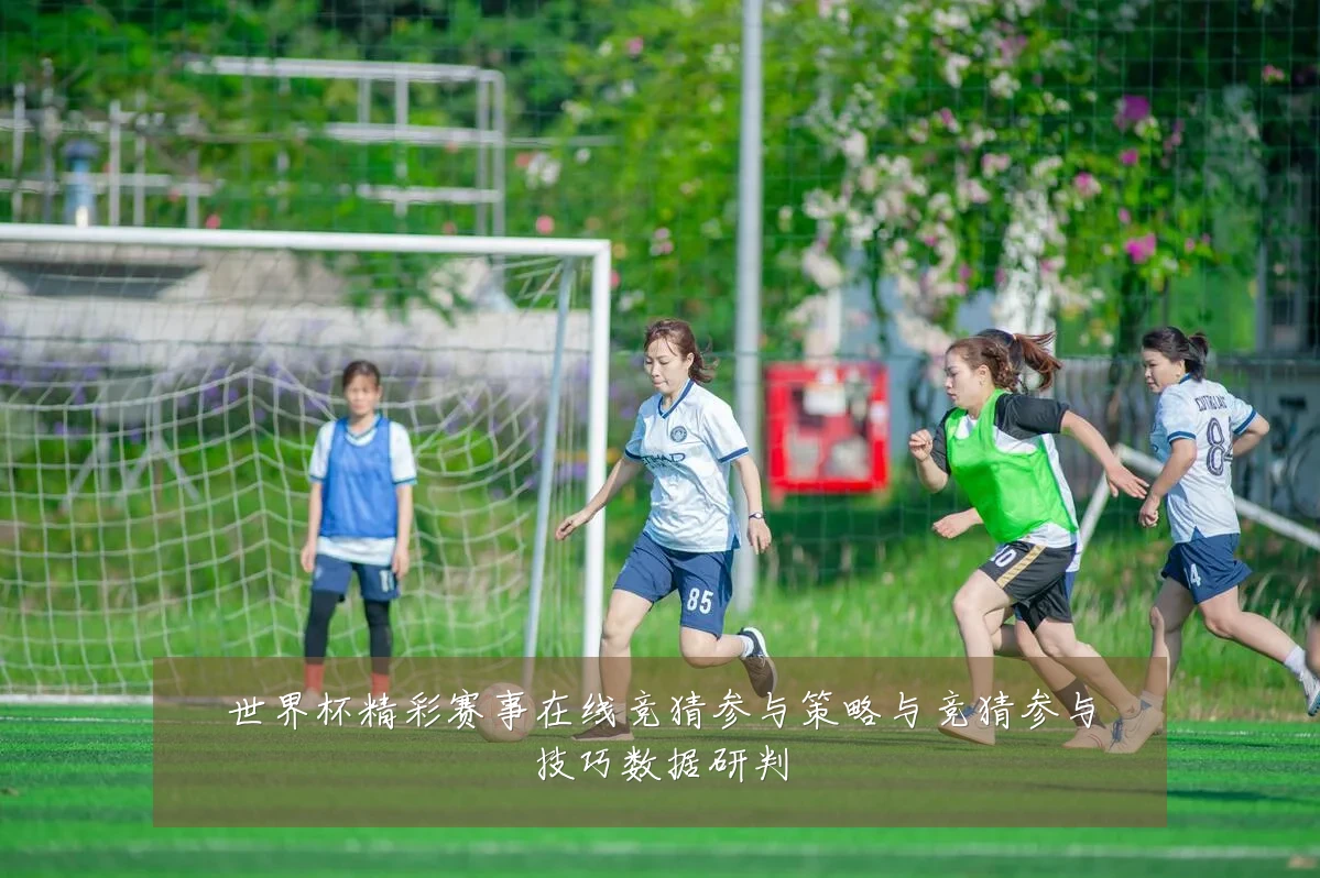 世界杯精彩赛事在线竞猜参与策略与竞猜参与技巧数据研判