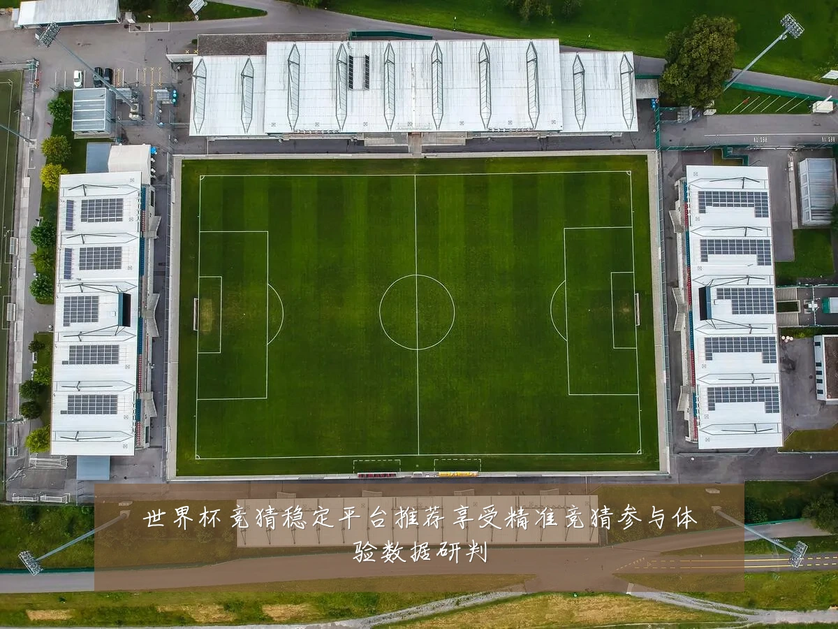 世界杯竞猜稳定平台推荐享受精准竞猜参与体验数据研判