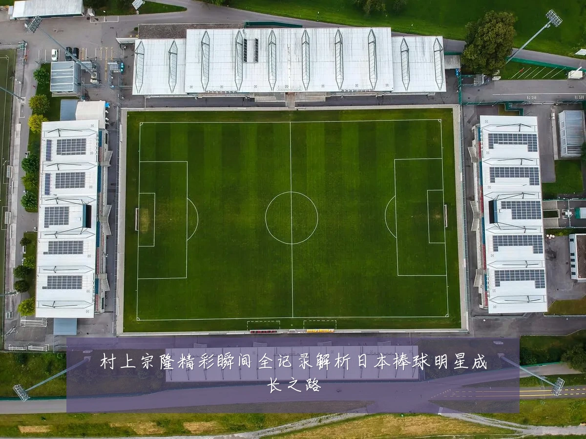 村上宗隆精彩瞬间全记录解析日本棒球明星成长之路